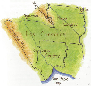 carneros2