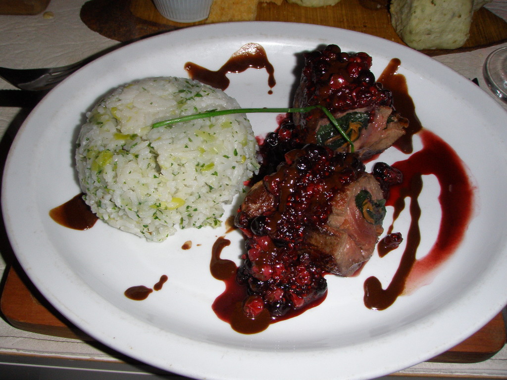 Divina Patagonia - venison