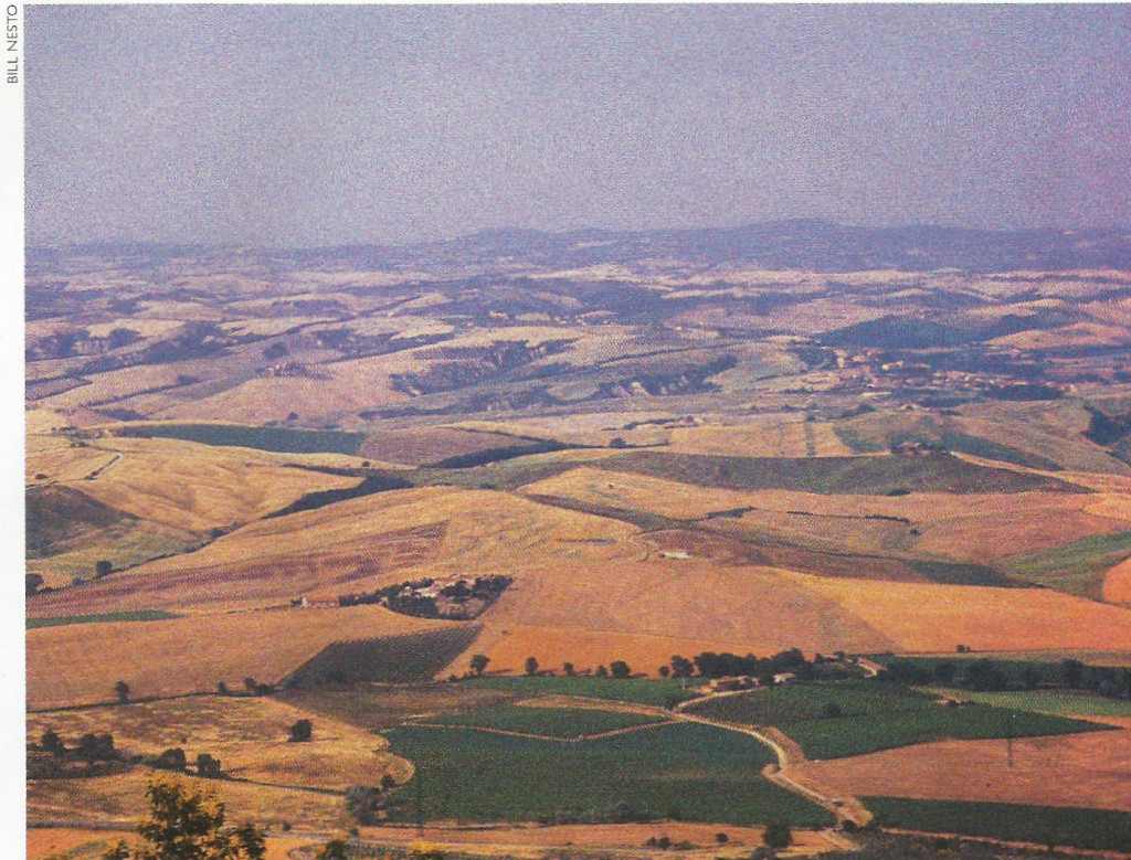 The sienese hills lie within the Chianti Colli Senesi zone, whose Chianti production is second only to Chianti Classico.